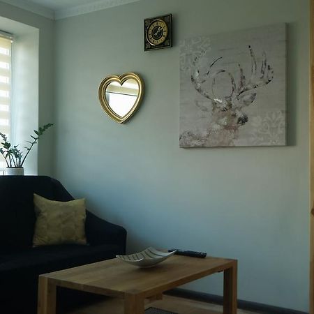 Siauliai Apartments - Ezero Extérieur photo